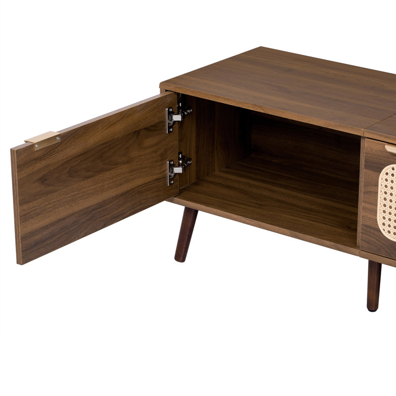 3 - Door TV Stand