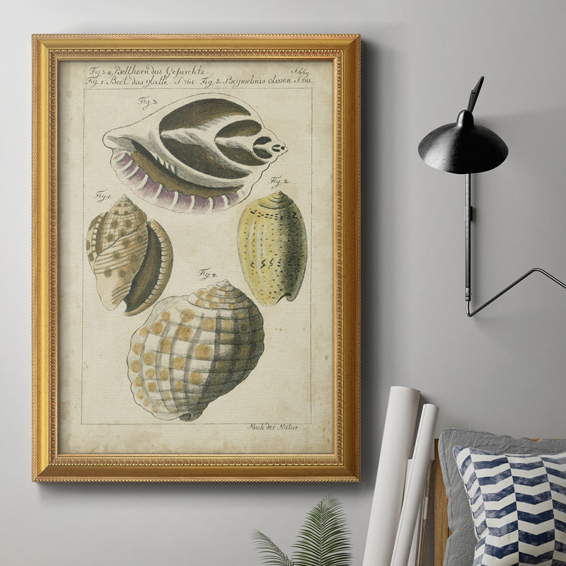 Étude de coquillage rétro I, toile encadrée de qualité supérieure - prête à être accrochée, H 36 po x l 24 po x P 2,5 po