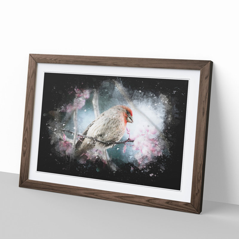A House Finch Bird Paint Splash - Picture Frame Graphic Art, 27cm H x 36cm W x 2cm D, Walnut