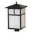 Aninda Lantern Head