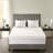 Memory Foam Mattress Topper-1866203086-1866203088