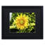 « juste un tournesol », reproduction de photo encadrée-17770208-40315254