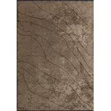 Rapture Abstract Area Rug in Brown