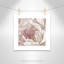 Intime rosé II - photographie-60493318-60493323