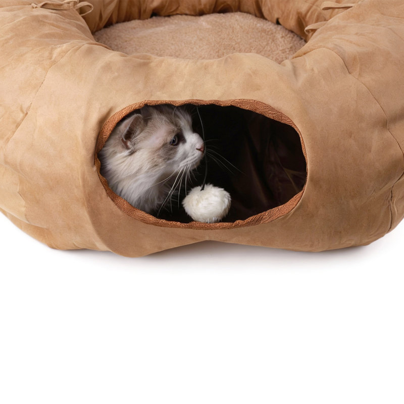 Agneau, chat, beignet, tunnel, brun clair, Tanné