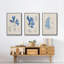Algues bleu marine VI-91887800-91887802