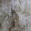 Rare Breed 2 Skin Sheepskin Rug