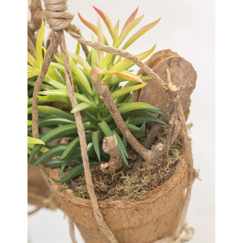 Ensemble de 2 succulent artificielles en pot