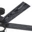 Ventilateur de plafond à 6 pales de 52 po avec ensemble de lumières DEL et chaînette Erling-83988961