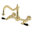 Polished Brass