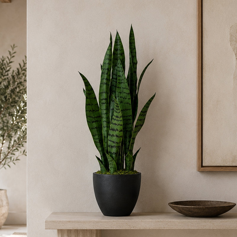 70cm Faux Yucca Tree in Pot Liner