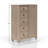 5 Drawer Door Chest