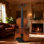 Professional 4/4 Full Size Violin Set