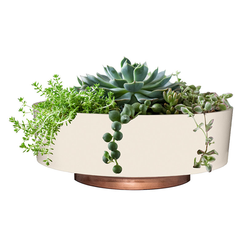 Ensemble de pots à fleurs en plastique 2 pièces, 2