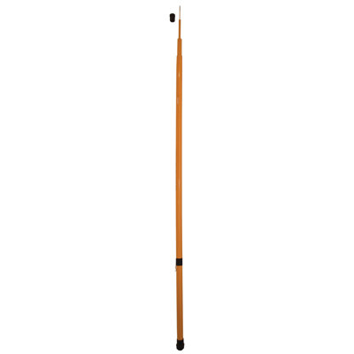 Flexible Telescoping Pole