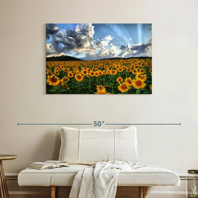 Alvord Tuscan Sunflower Field, 26" H x 39" W