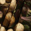 Tapisserie murale légumes Rutabaga-133638510