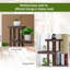 Shropshire Wood Plant Stand