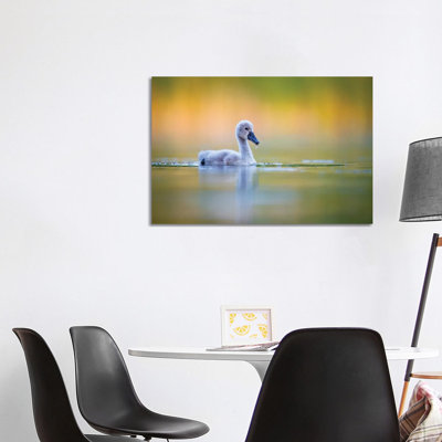 Cygnet 1 Piece Wrapped Canvas Wall Art