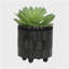 Jardinières texturées S / 2 6/8 po, noir brillant-1324665913