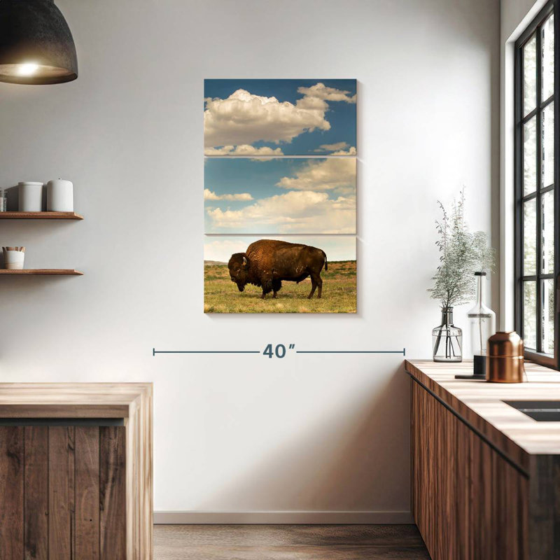 Brampt Rocky Mountain Bison, 38" H x 24" W