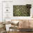 Evergreen Pine Trees
