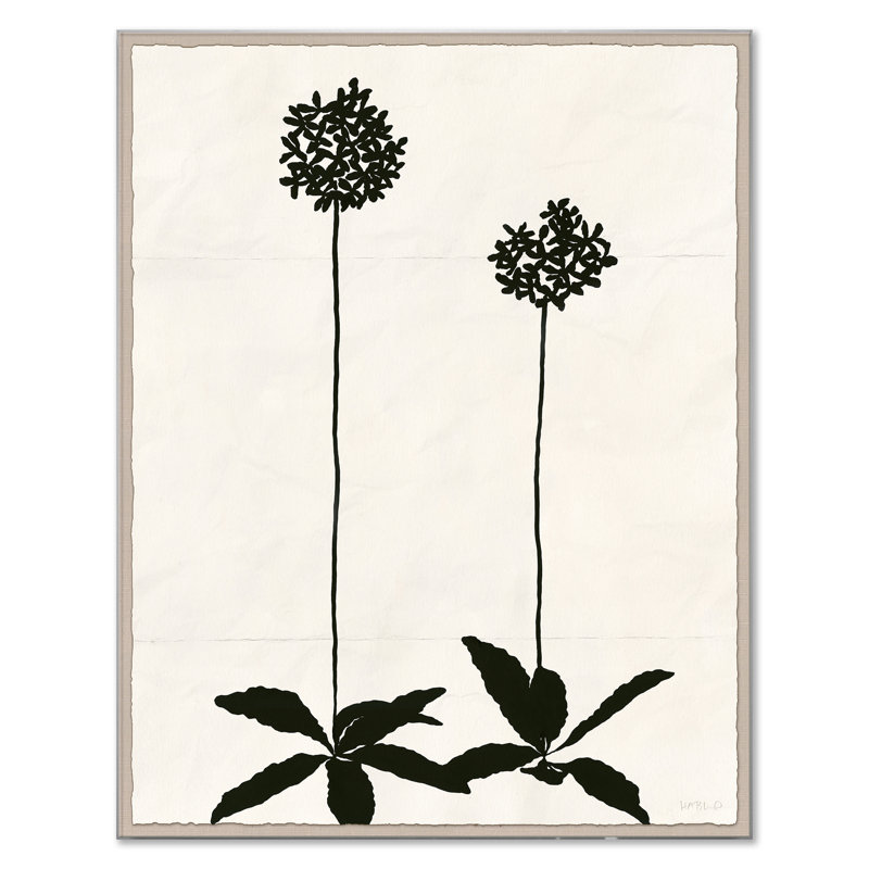 Allium (var. 2) Print by Susan Hable, Clear, 56" H x 44" W