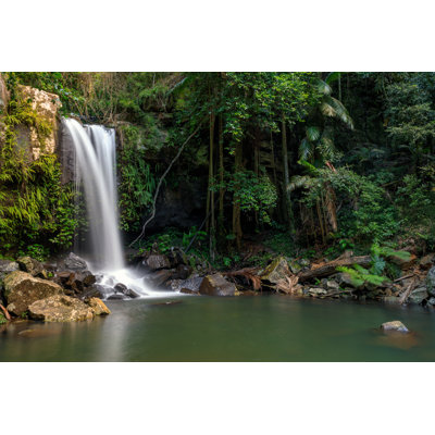 Curtis Falls - Tropical Rainforest Waterfall Australie par Thurtell