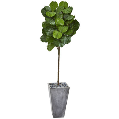 Fiddle Leaf Artificial Tree in Cement Planter