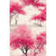 Cherry Blossom