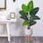 60'' Faux Palm Tree in Clay Planter