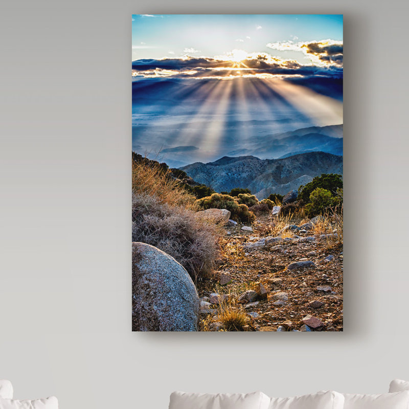 « joshua tree coucher de soleil ii », reproduction de photo sur toile tendue, H 32 po x l 22 po x P 2 po