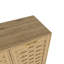 Storage Cabinet with 3 Doors