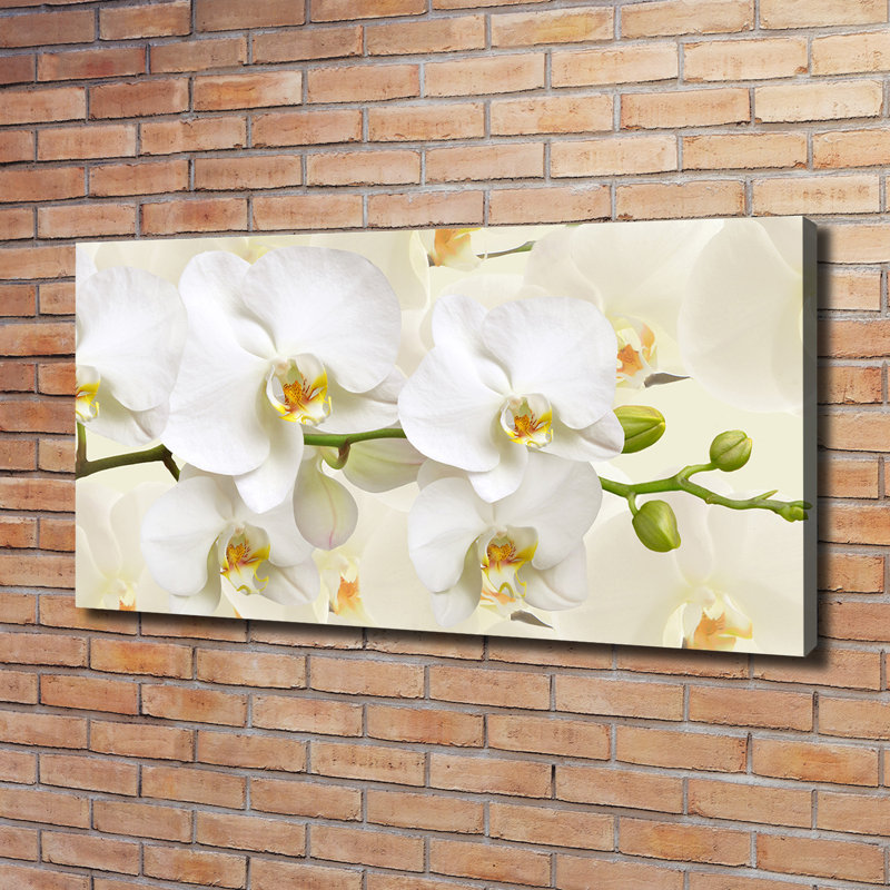 Orchid - No Frame Print on Canvas