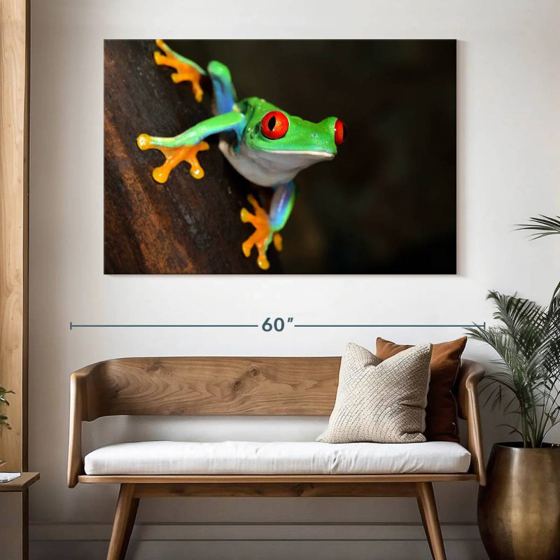 Brampt Tiny Red-Eyed Tree Frog, 34" H x 51" W