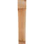 Attelle impériale du genou-31229279-29309856-31229281