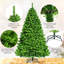 Arbre de Noël pin vert-529796853