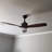 Ballog 52 in. Matte Black and Brushed Silver Indoor Outdoor Rod Mount Industrial Ceiling Fan with Wooden Walnut Blades, Dimmable Integrated LED Light Kit and Remote Control Included, 3 Speeds-342860760