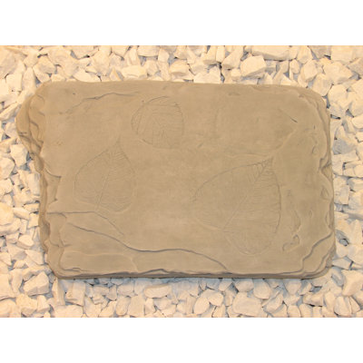 Fossil Stepping Stone