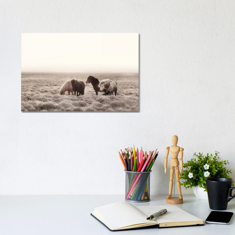 Iceland Wild Horses I by Monika Strigel - Wrapped Canvas Print, 20.32 cm H x 30.48 cm W