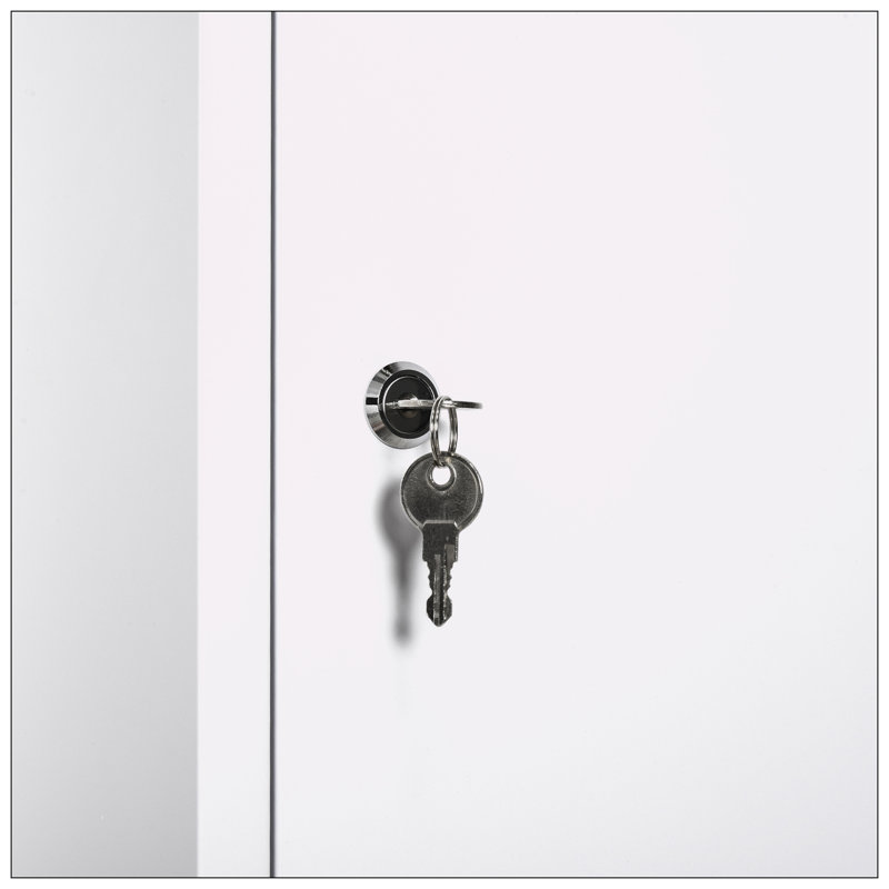 Armoire à pharmacie fixée au mur l 15,75 po H 23,50 po Joelis