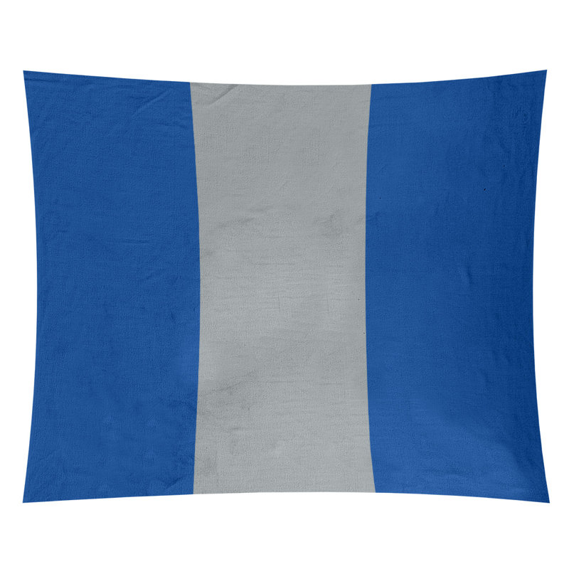 Tapisserie de polyester St. Louis, H 27,5 po x l 37,5 po, Bleu royal / gris / bleu royal