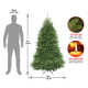 Alyce 6' H Green Fir Christmas Tree