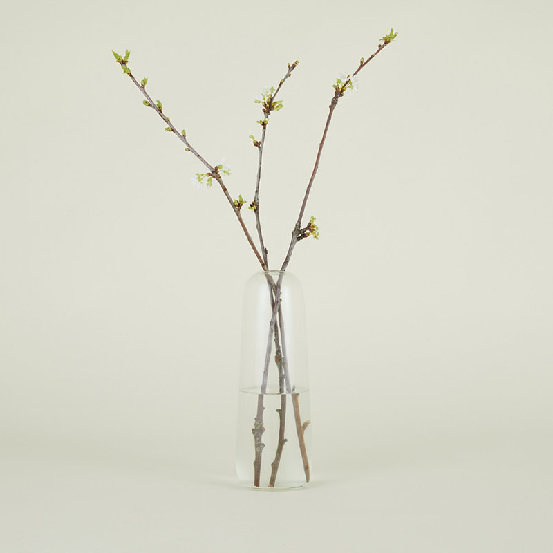 Vase de table Aurora, Transparent, H 11,5 po x l 4 po x P 4 po