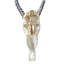 Véritable crâne d'antilope Blesbok