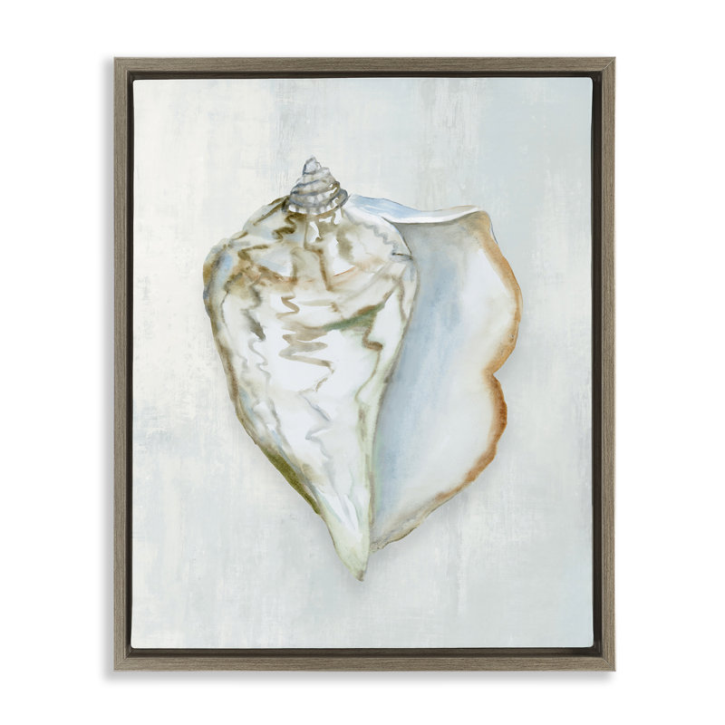 Muted Conch Shell Serenity Floating Frame, design by Hannah Dawson, 31" H x 25" W, Montalcino Elm Floater Frame