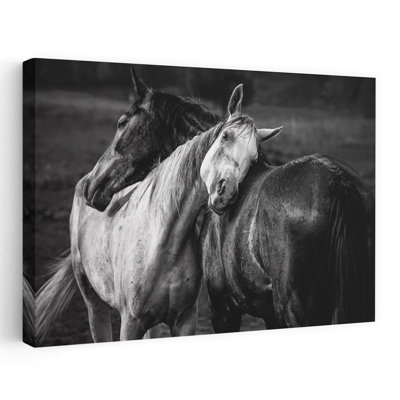 Chapa - pluie chaude, paysage, photographie en noir et blanc, art cheval, contemporain