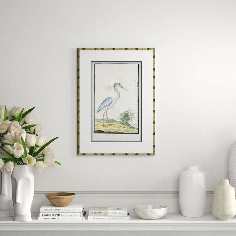 Bird Drawings, Circa 1777 Giclee Print by Robert J. Gordon