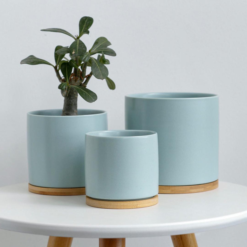 Pot à fleurs en céramique 2 pièces 4,5 po, Menthe
