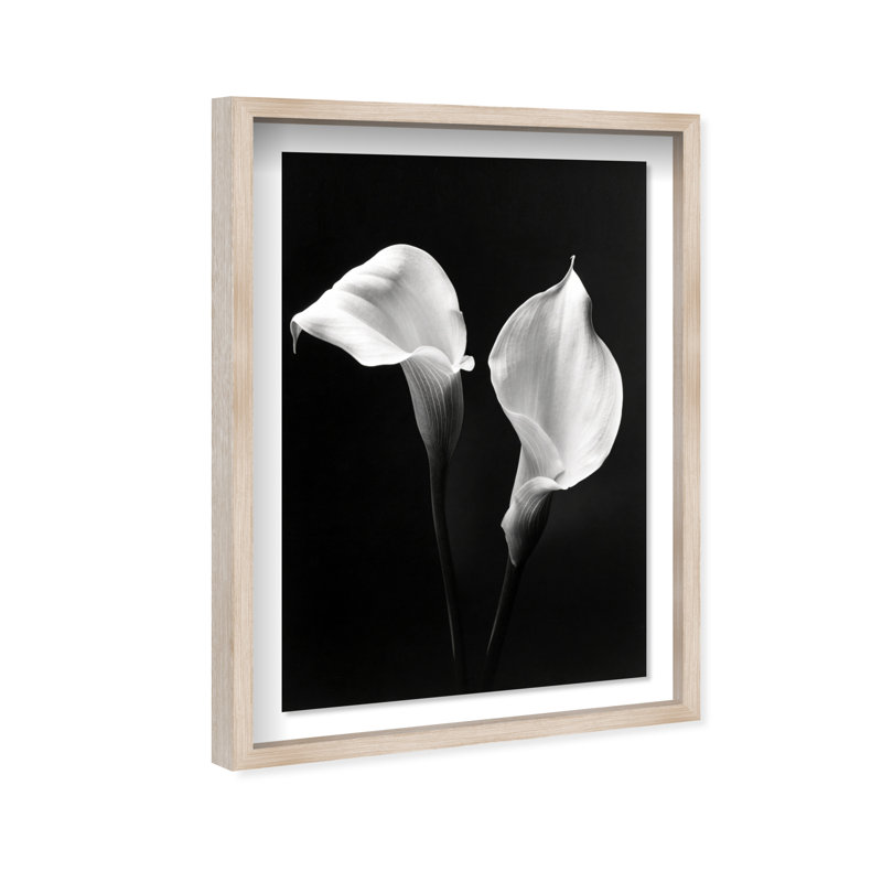 Calla Lily Framed Graphic Art, 16.5" H x 11.5" W, Natural Oak Shadowbox
